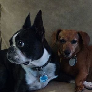 Meet your Posher, Pat